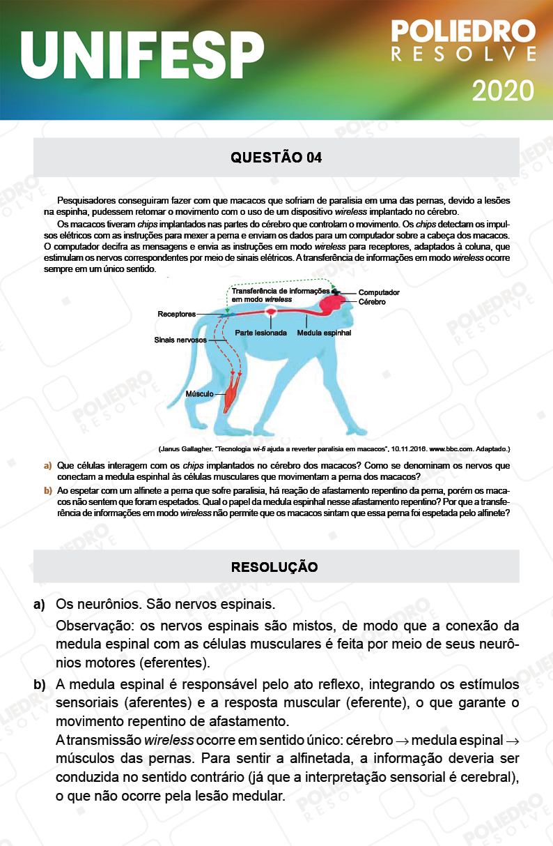 Dissertativa 4 - Fase única - 2º Dia - Unifesp 2020