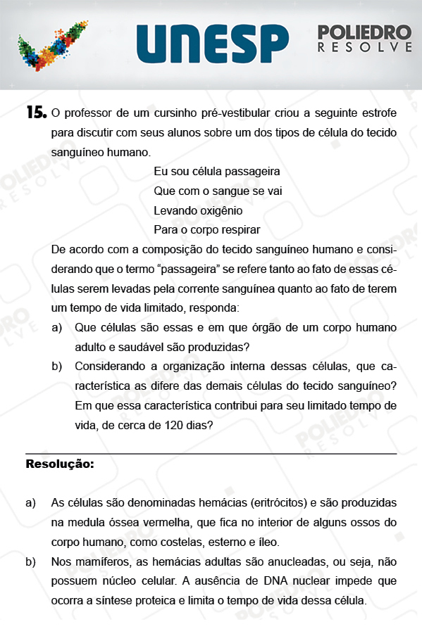 Dissertativa 15 - 2ª Fase - Unesp 2018
