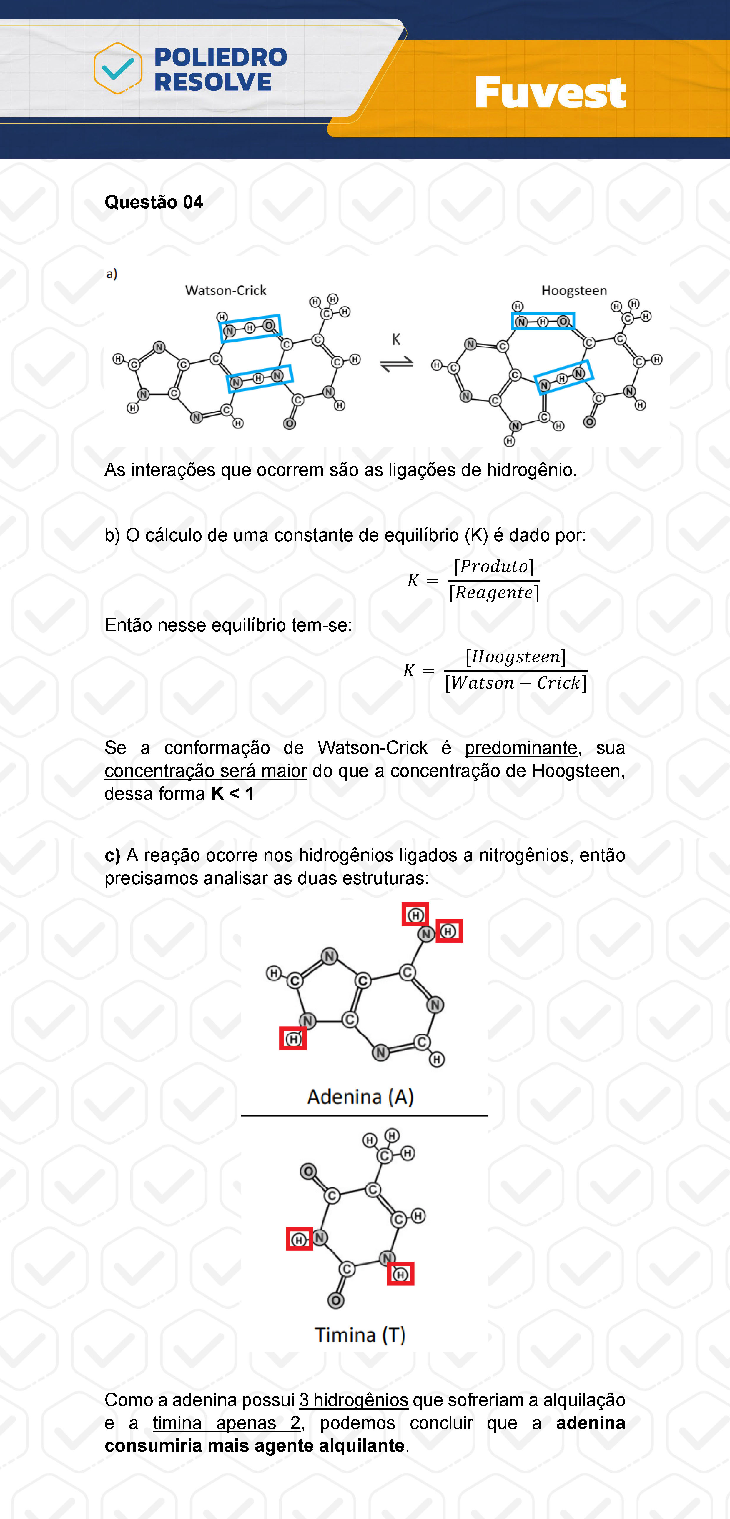 Dissertativa 4 - 2ª Fase - 2º Dia - Fuvest 2024
