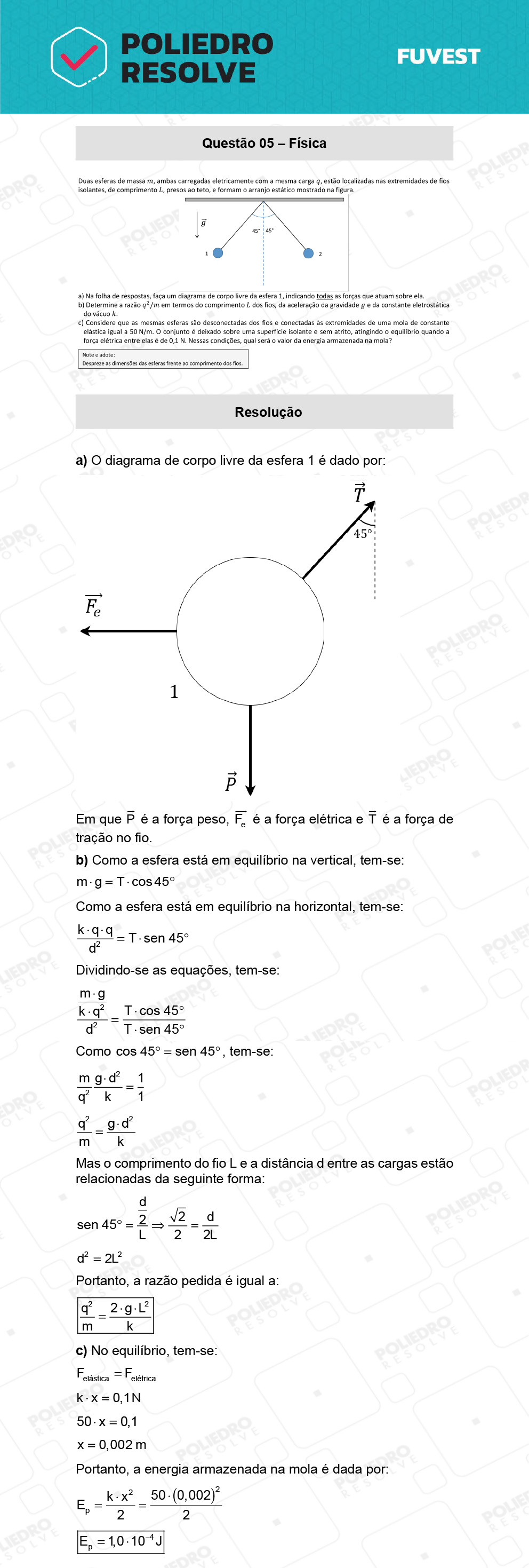Dissertativa 5 - 2ª Fase - 2º Dia - Fuvest 2022