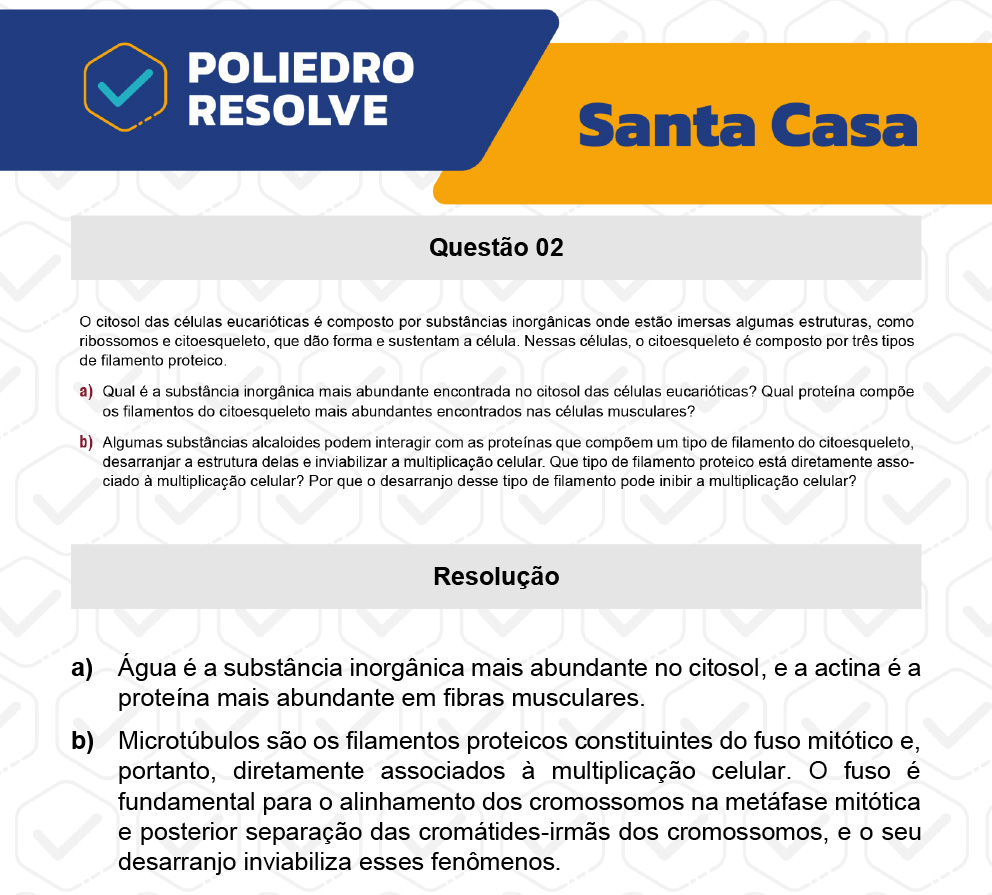 Dissertativa 2 - 2º Dia - Santa Casa 2023