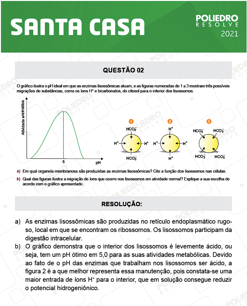 Dissertativa 2 - 2º Dia - Santa Casa 2021