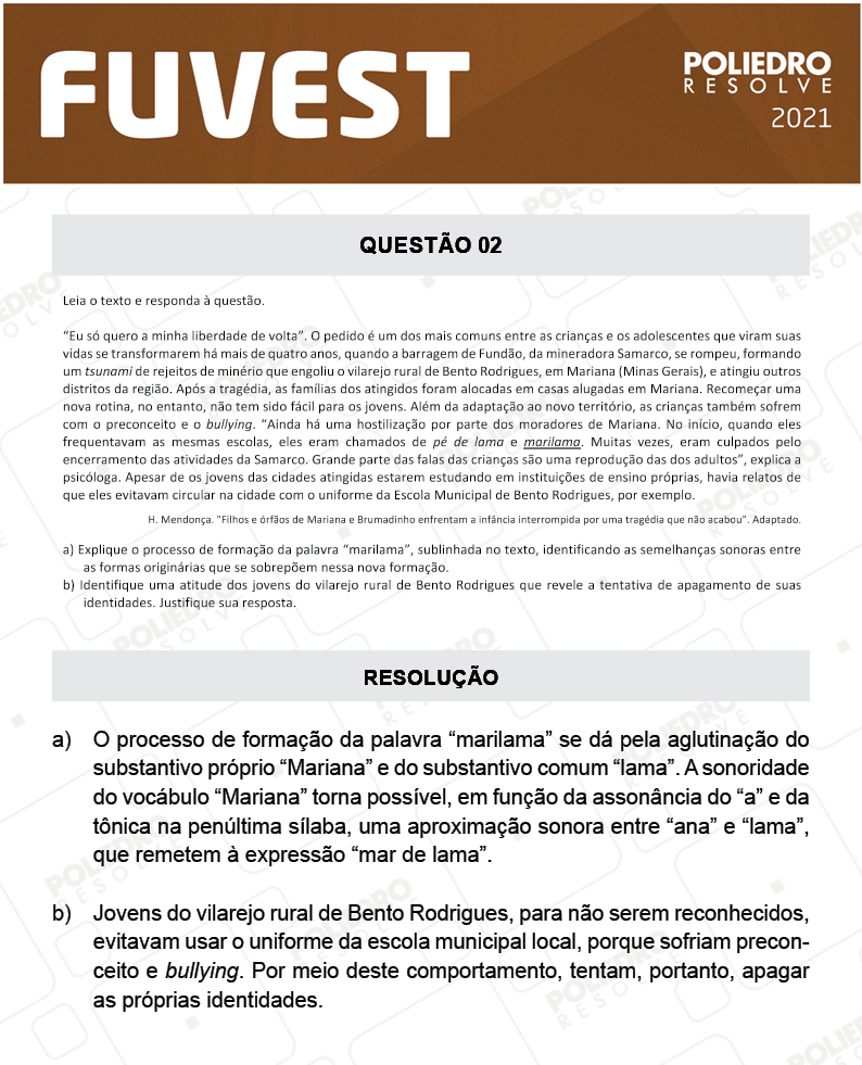 Dissertativa 2 - 2ª Fase - 1º Dia - Fuvest 2021