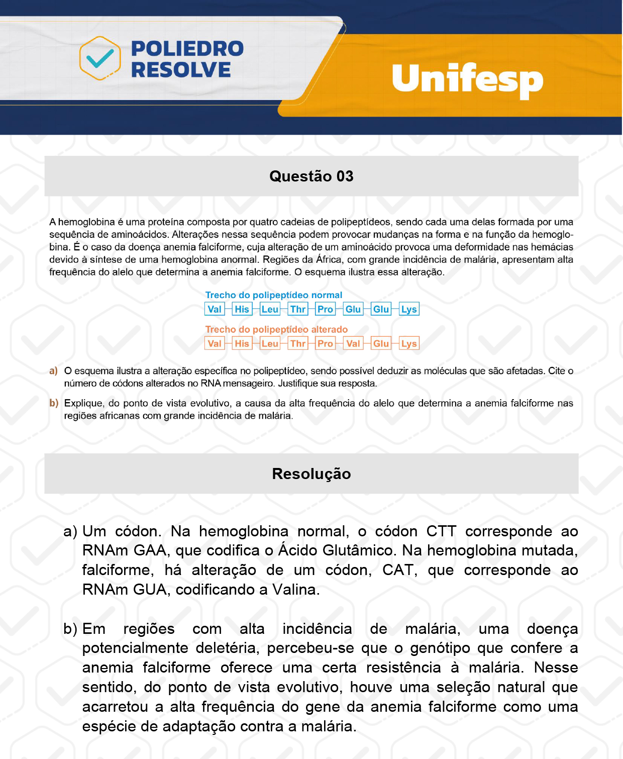 Dissertativa 3 - 2º Dia - Reaplicação - Unifesp 2024