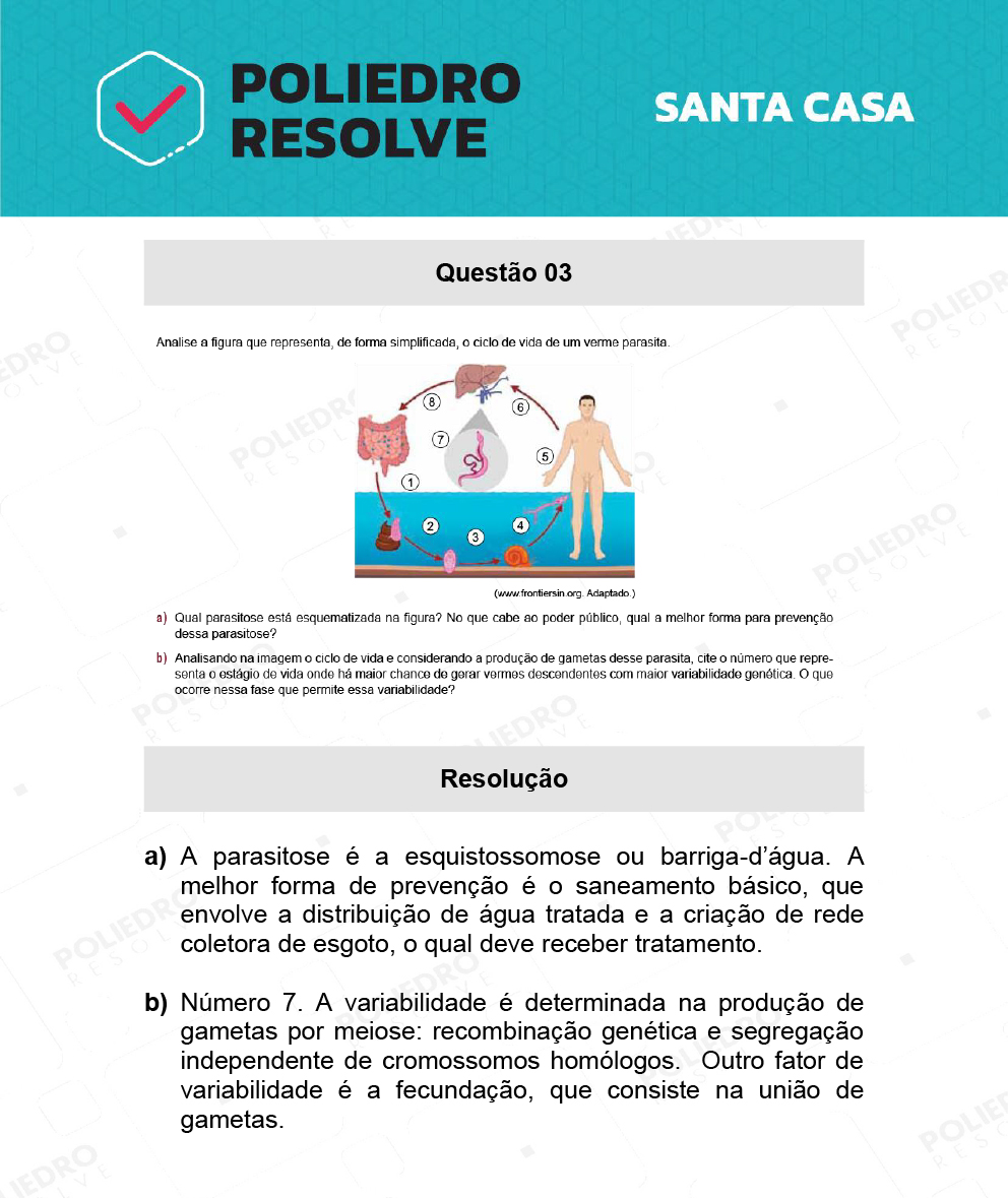 Dissertativa 3 - 2º Dia - Santa Casa 2022