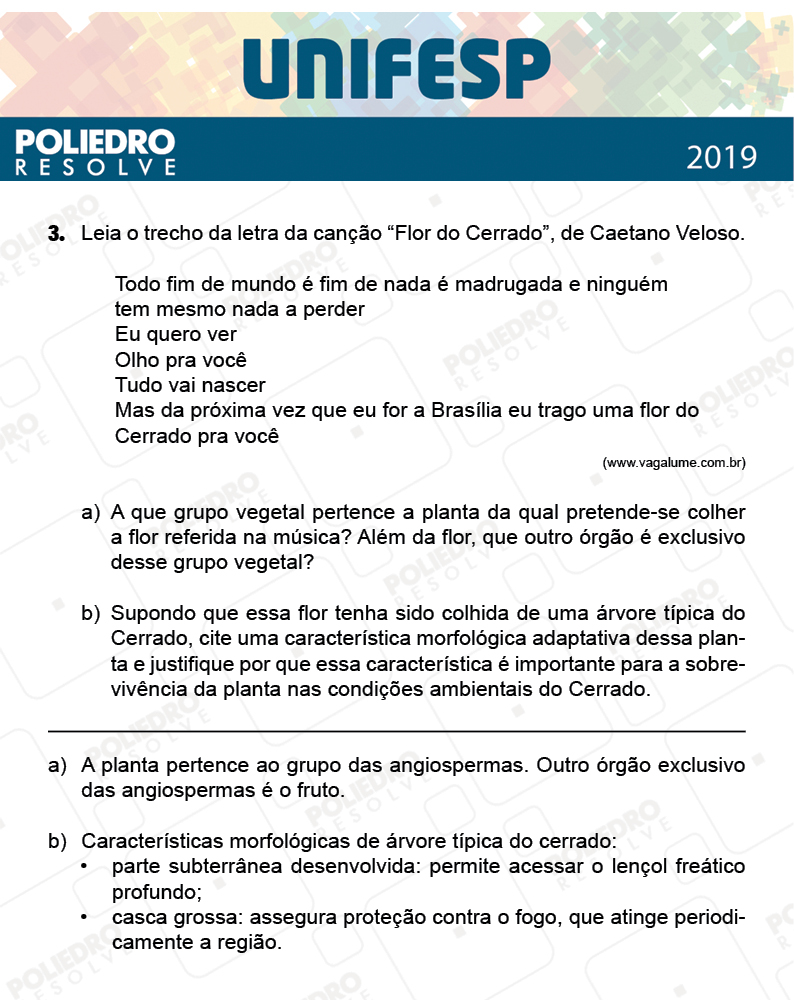 Dissertativa 3 - Fase única - 2º Dia - Unifesp 2019