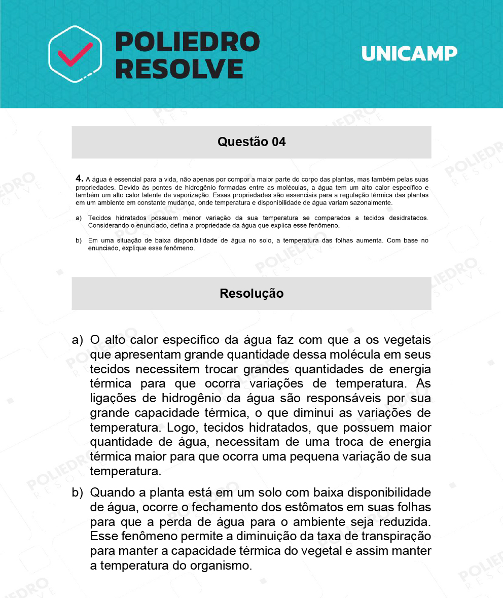 Dissertativa 4 - 2ª Fase - 2º Dia - Unicamp 2022