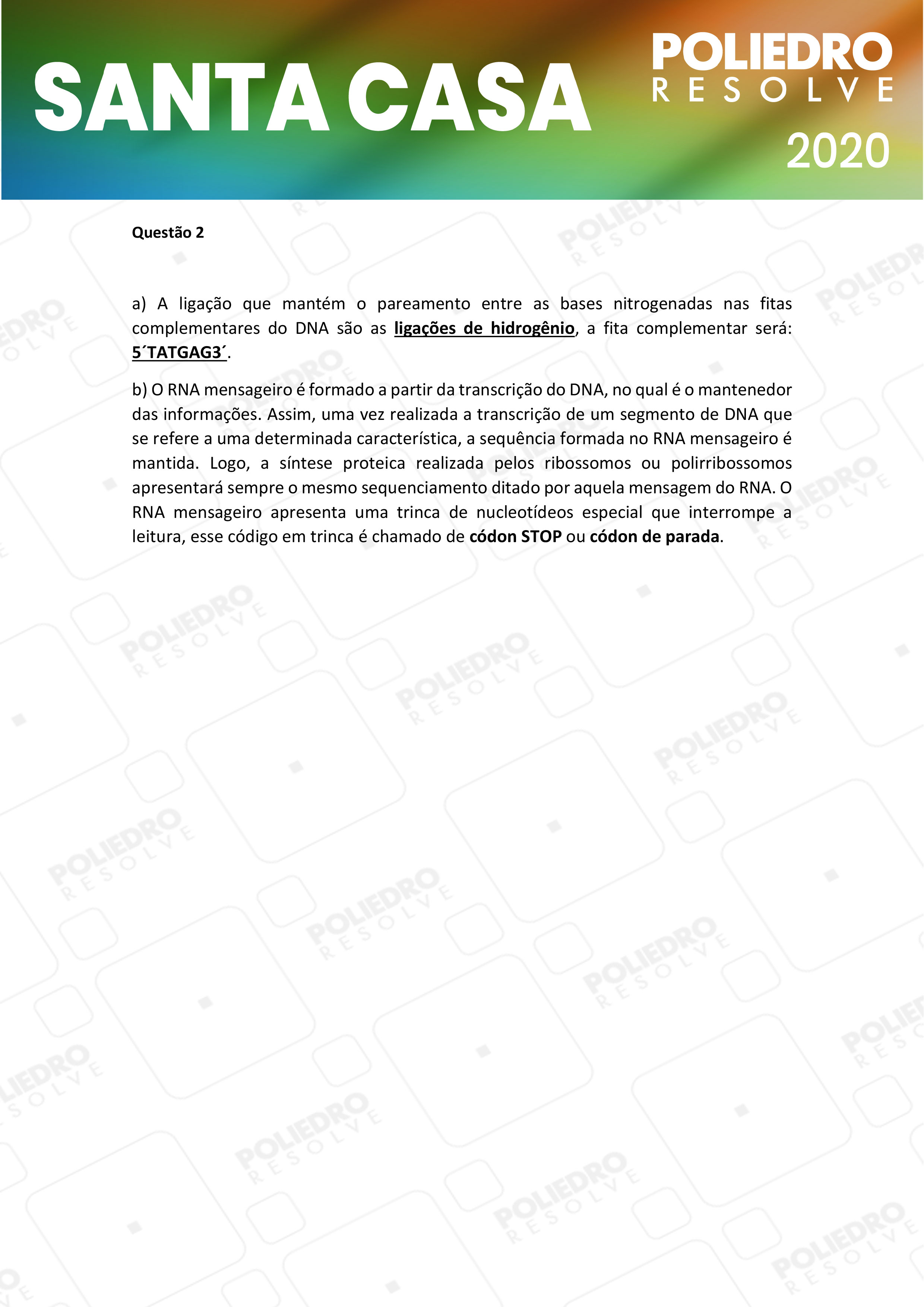 Dissertativa 2 - 1º Dia - Santa Casa 2020
