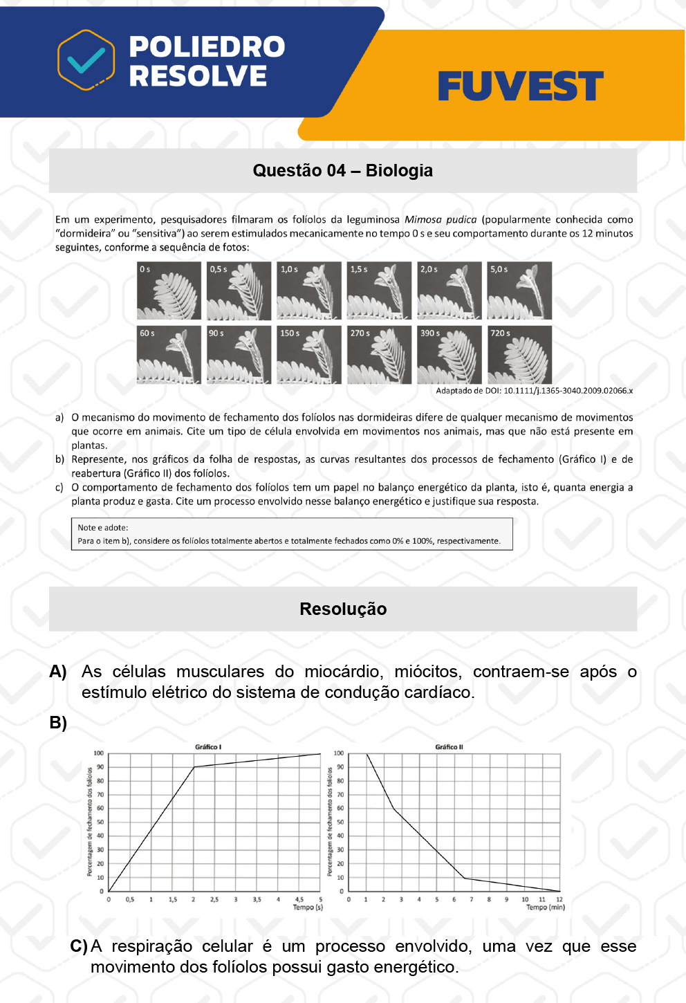 Dissertativa 4 - 2ª Fase - 2º Dia - Fuvest 2023