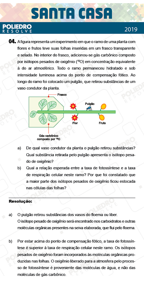 Dissertativa 4 - 1º Dia - Dissertativas - Santa Casa 2019
