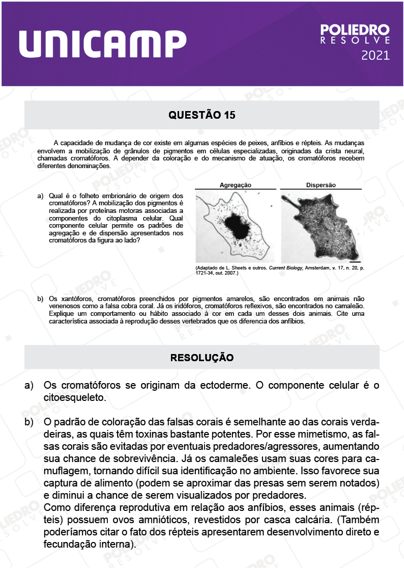 Dissertativa 15 - 2ª Fase - 2º Dia - Unicamp 2021