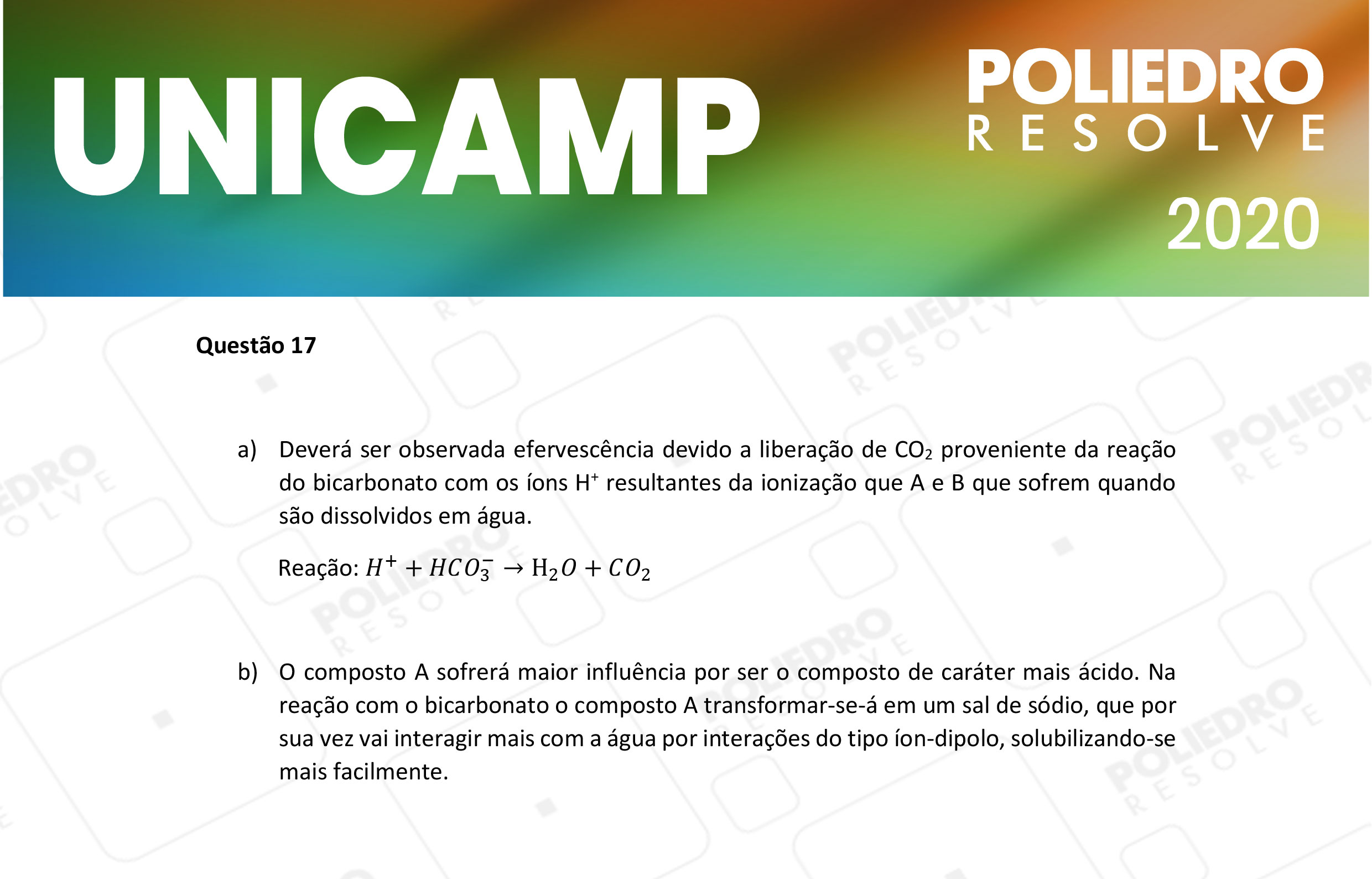Dissertativa 17 - 2ª Fase - 2º Dia - Unicamp 2020