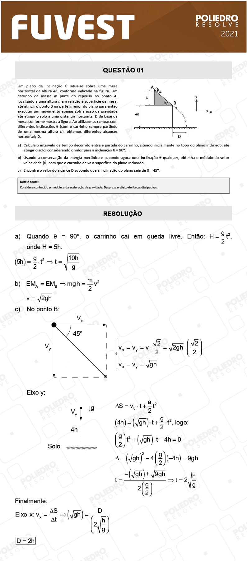 Dissertativa 1 - 2ª Fase - 2º Dia - Fuvest 2021