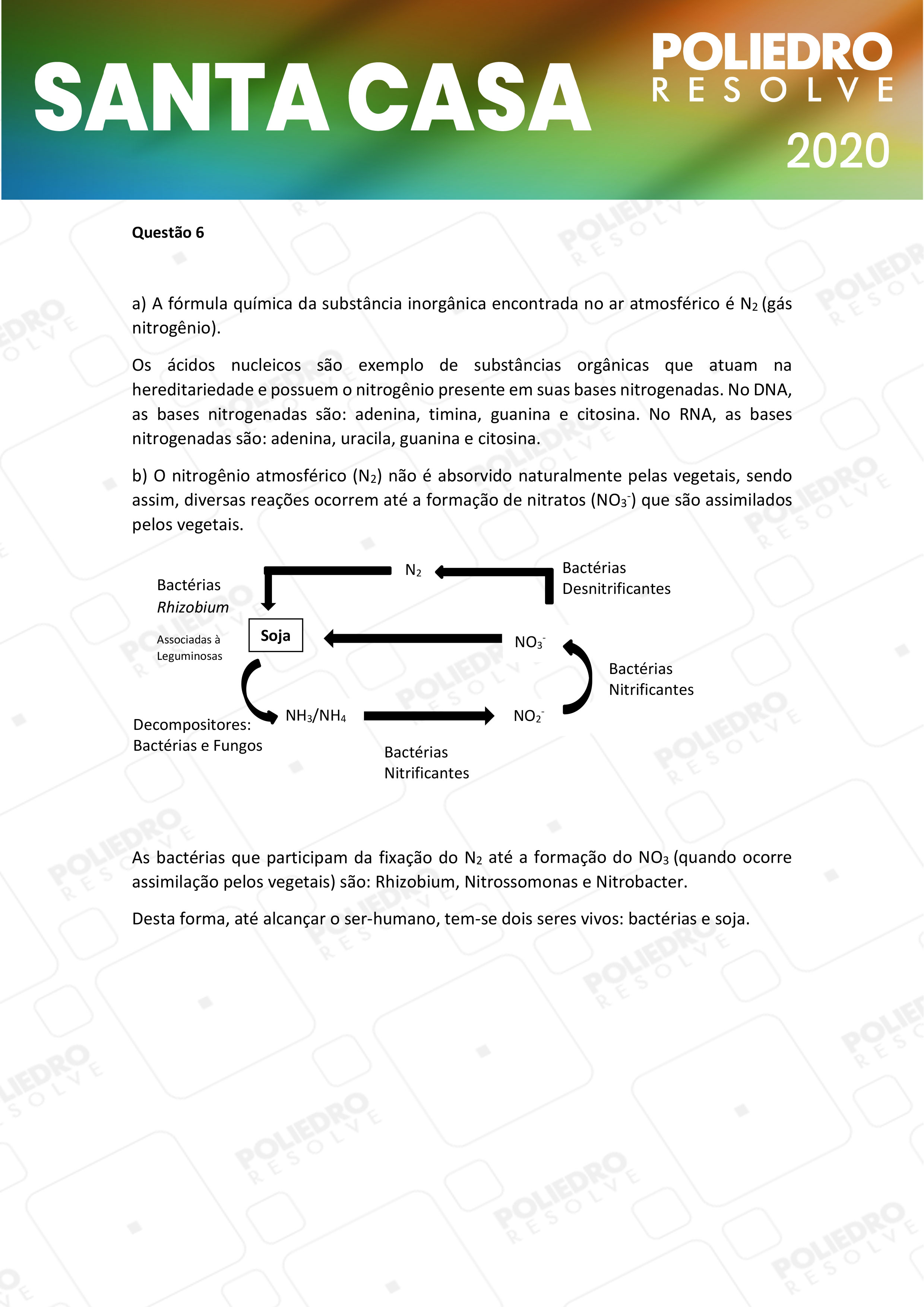 Dissertativa 6 - 1º Dia - Santa Casa 2020