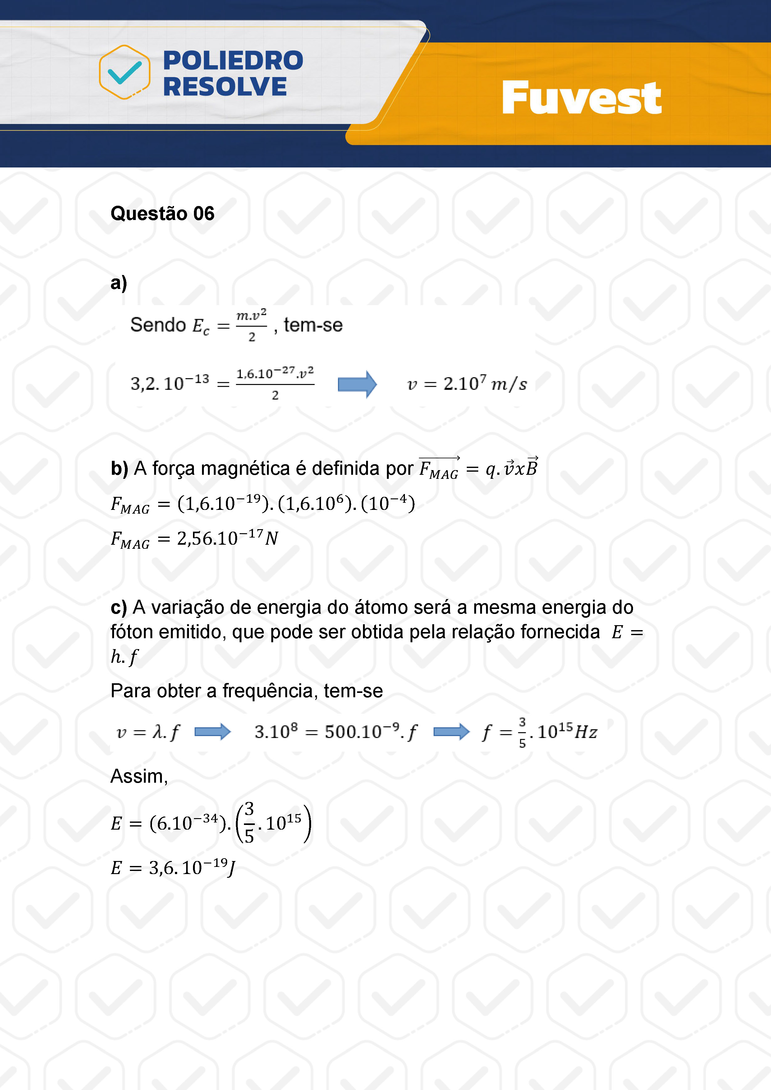 Dissertativa 6 - 2ª Fase - 2º Dia - Fuvest 2024