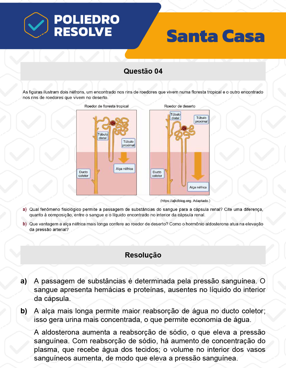 Dissertativa 4 - 2º Dia - Santa Casa 2023