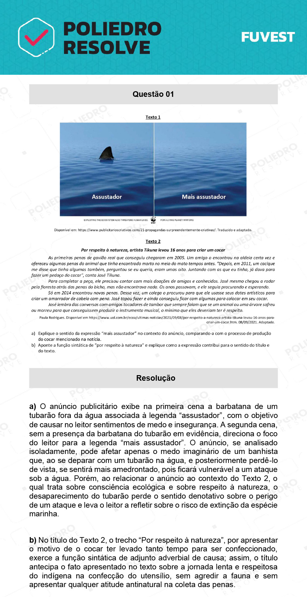 Dissertativa 1 - 2ª Fase - 1º Dia - Fuvest 2022