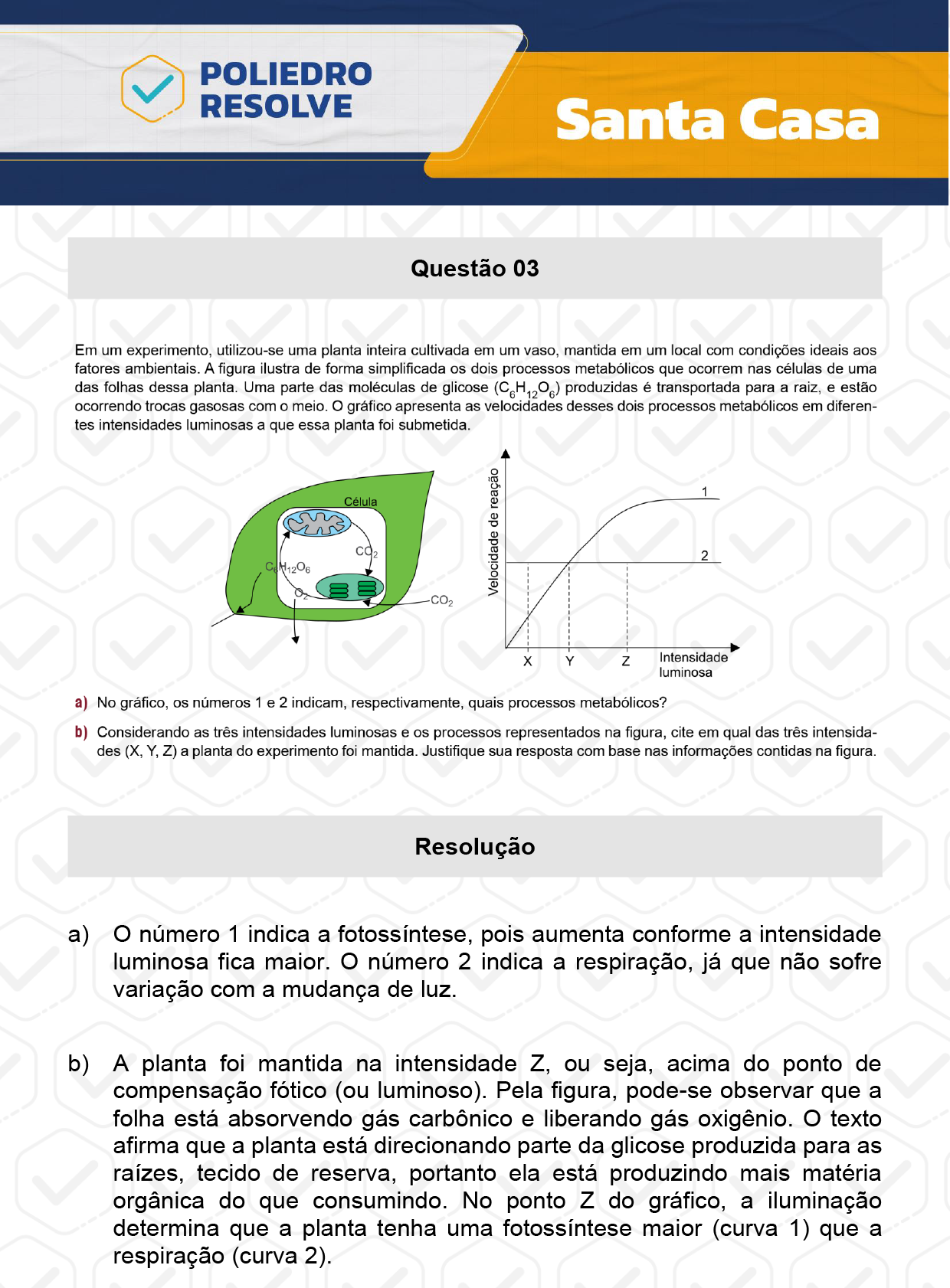 Dissertativa 3 - 2º Dia - Santa Casa 2024