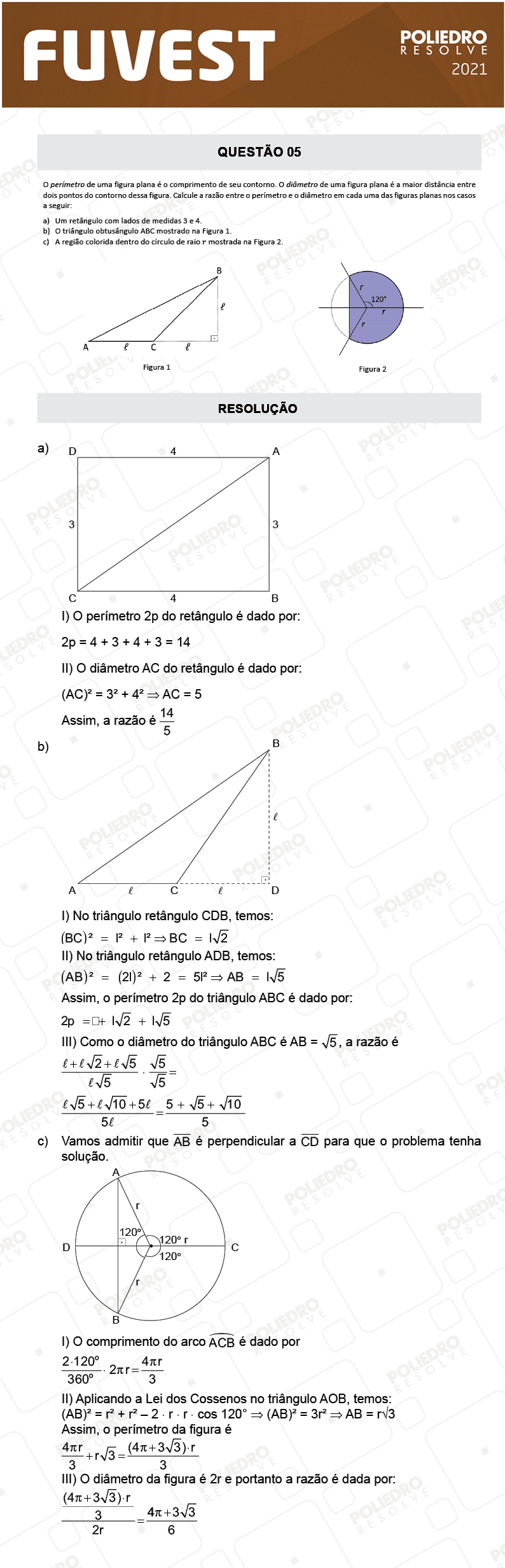 Dissertativa 5 - 2ª Fase - 2º Dia - Fuvest 2021