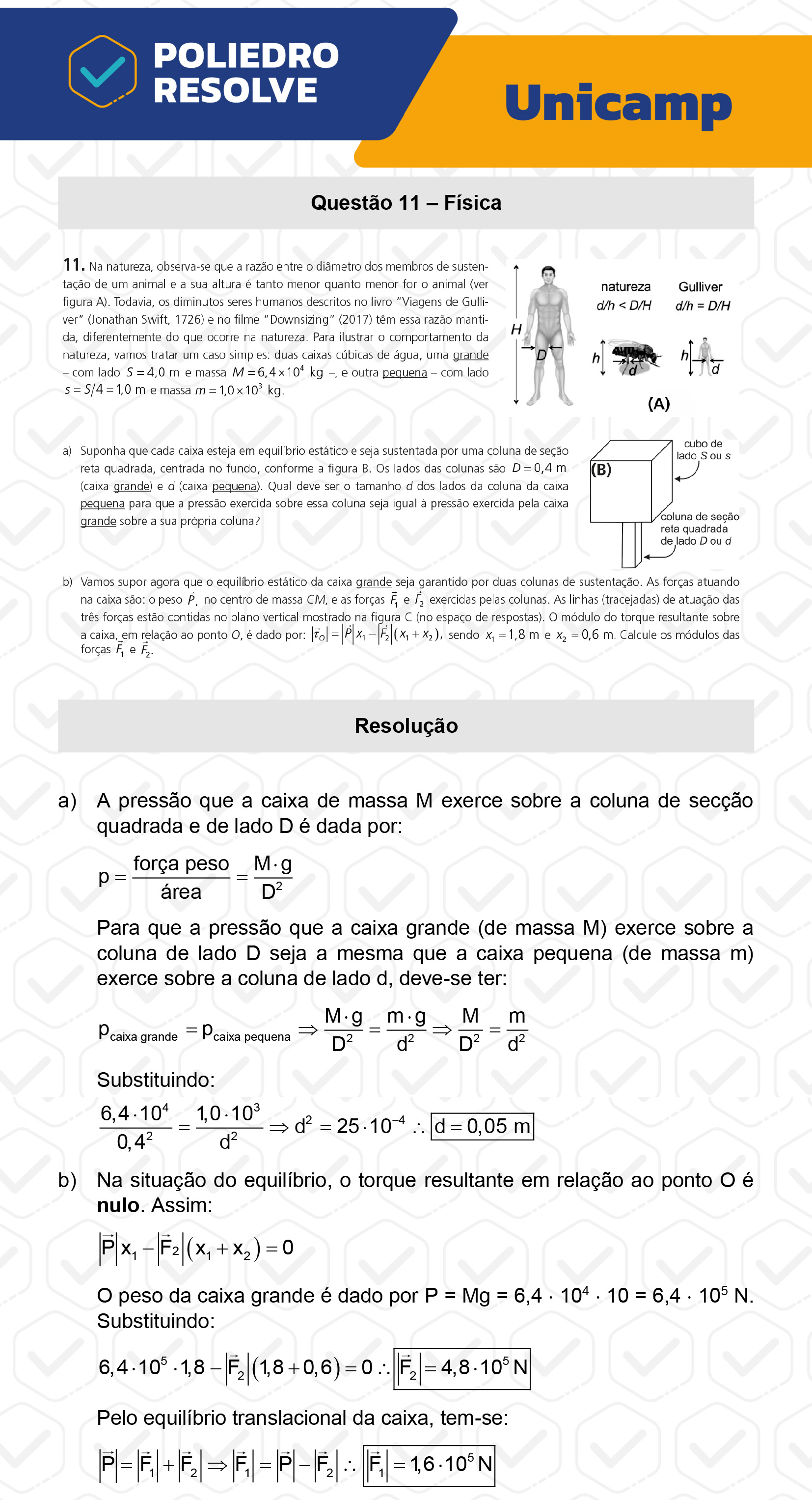 Dissertativa 11 - 2ª Fase - 2º Dia - Unicamp 2023