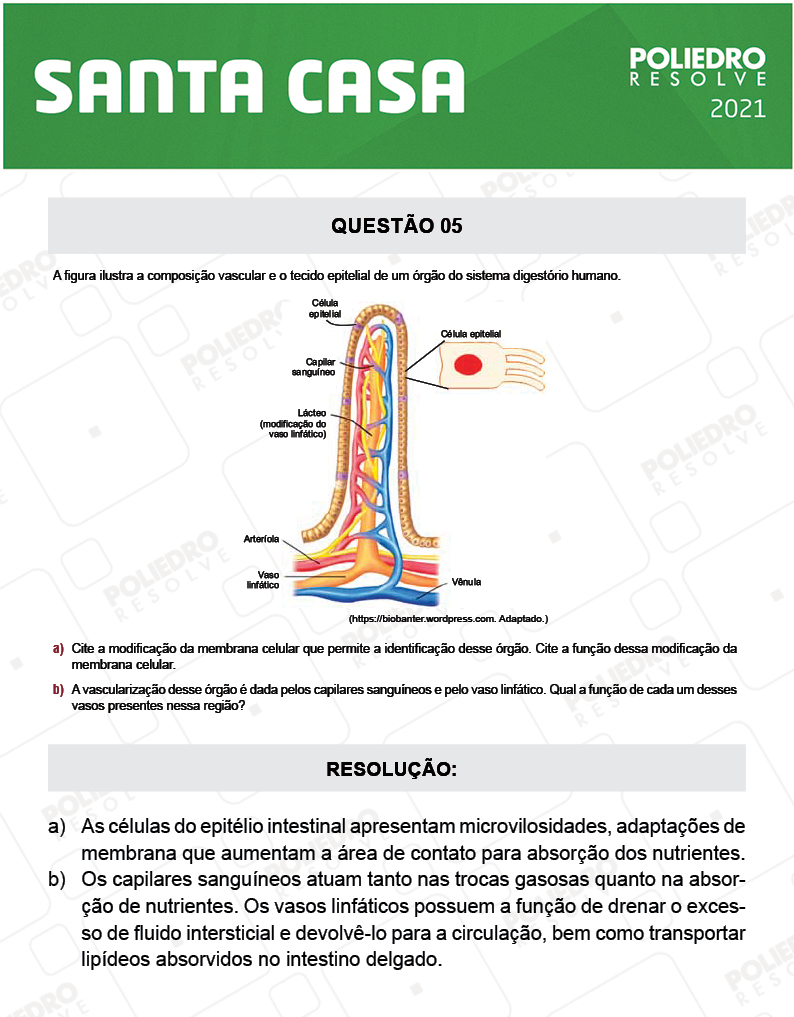 Dissertativa 5 - 2º Dia - Santa Casa 2021