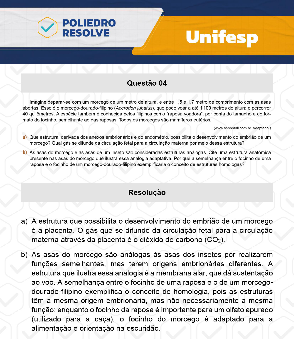 Dissertativa 4 - 2º Dia - Unifesp 2024