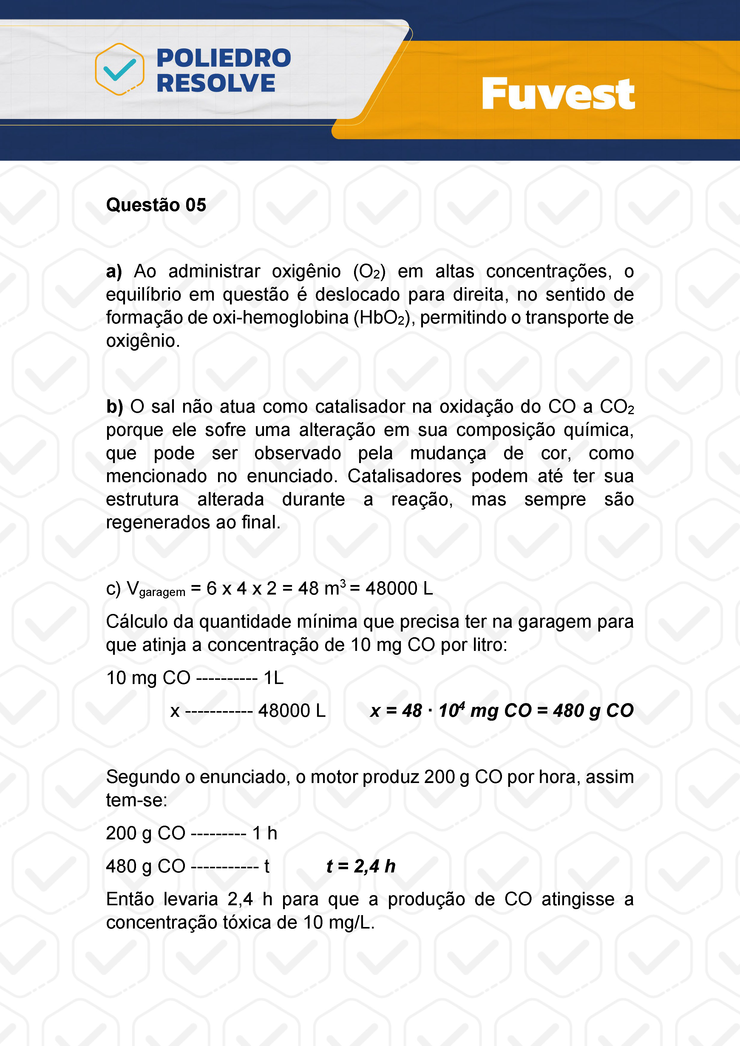 Dissertativa 5 - 2ª Fase - 2º Dia - Fuvest 2024