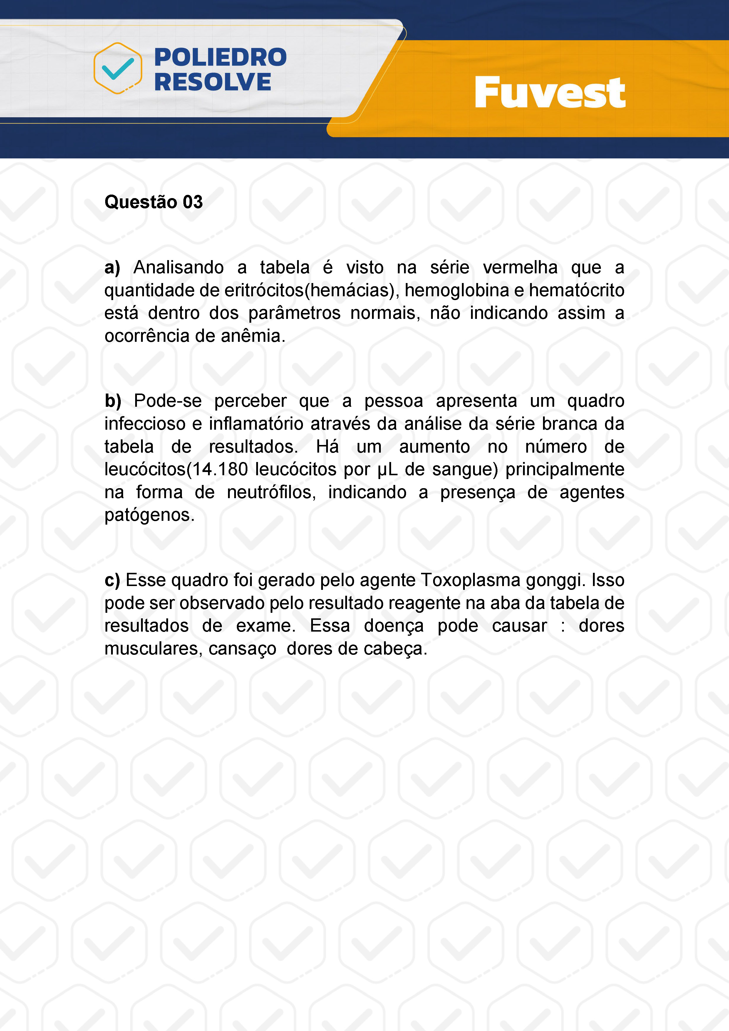 Dissertativa 3 - 2ª Fase - 2º Dia - Fuvest 2024