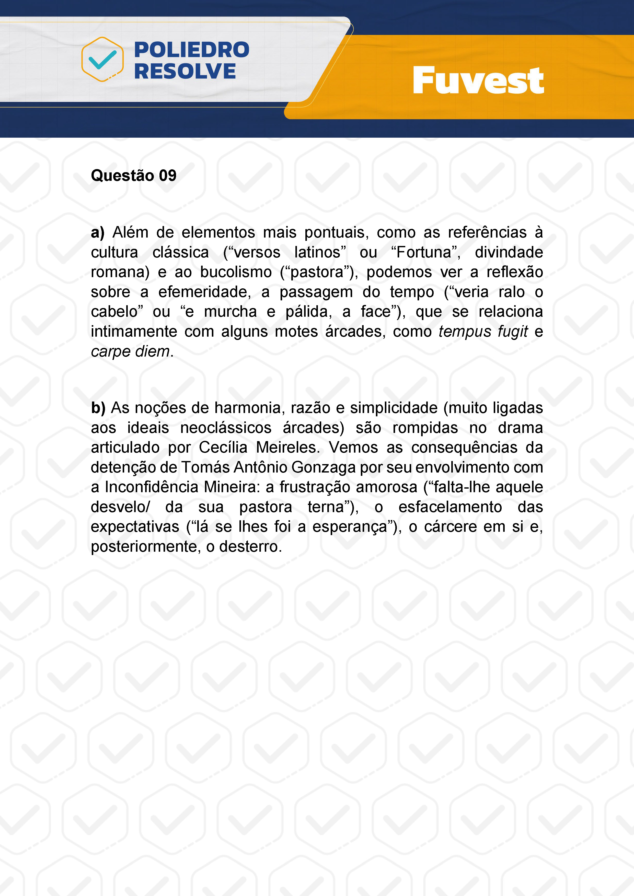 Dissertativa 9 - 2ª Fase - 1º Dia - Fuvest 2024