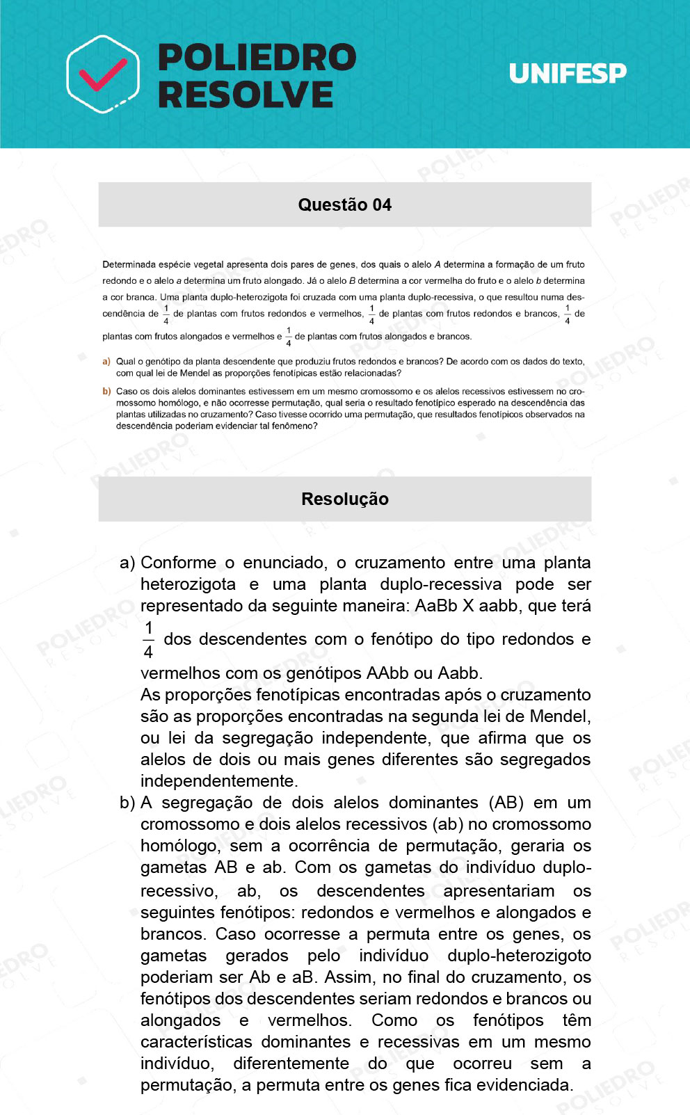 Dissertativa 4 - 2º Dia - 21/01/22 - Unifesp 2022
