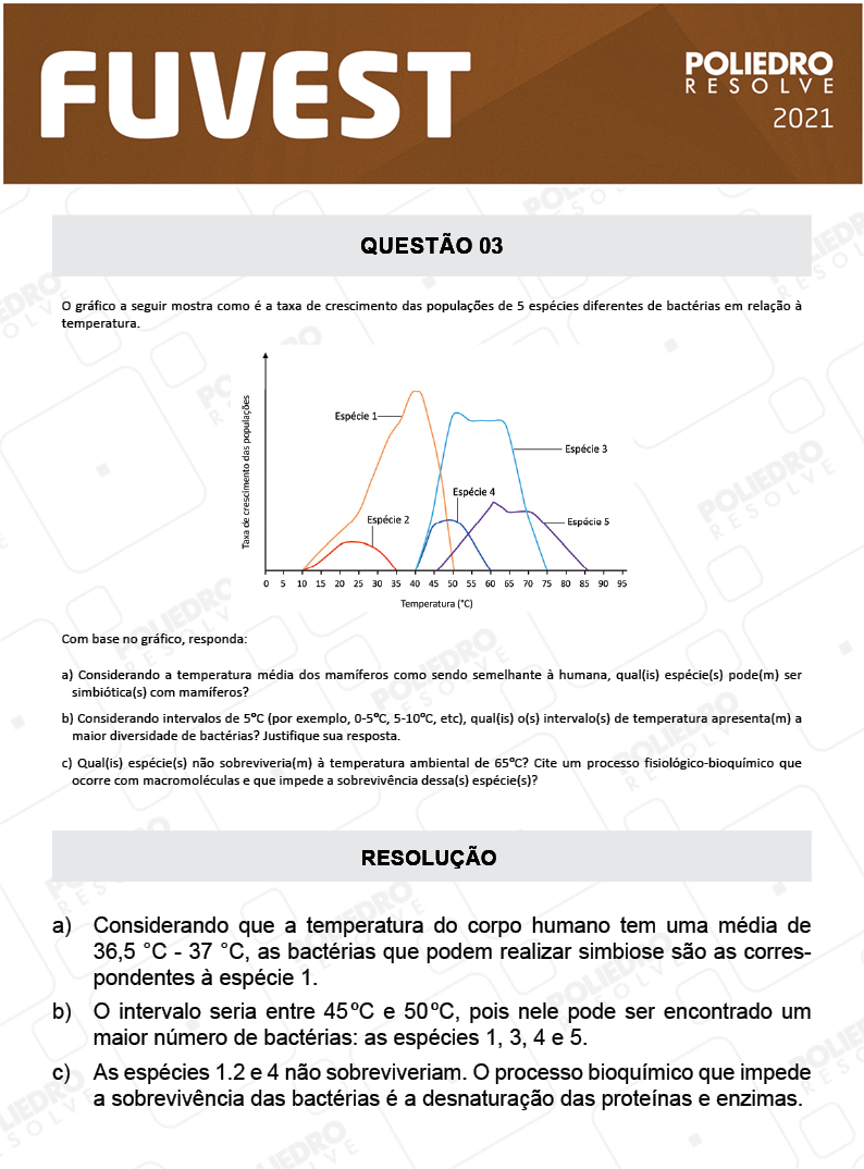 Dissertativa 3 - 2ª Fase - 2º Dia - Fuvest 2021