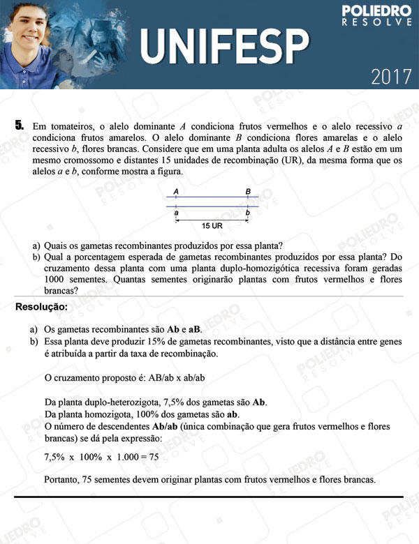 Dissertativa 5 - 2º dia - Unifesp 2017