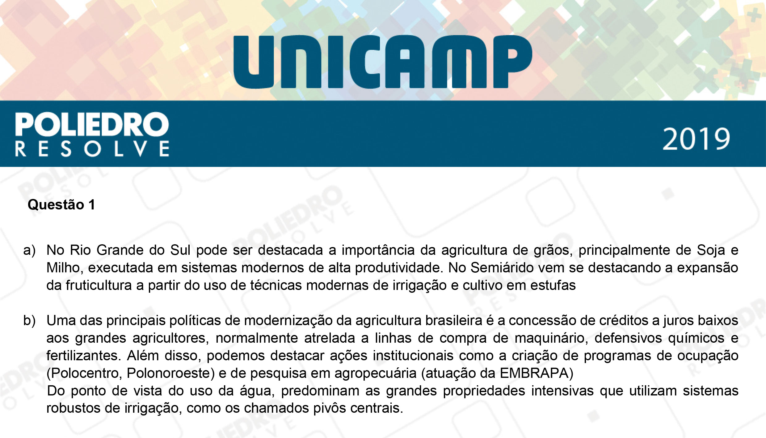 Dissertativa 1 - 2ª Fase - 2º Dia - Unicamp 2019