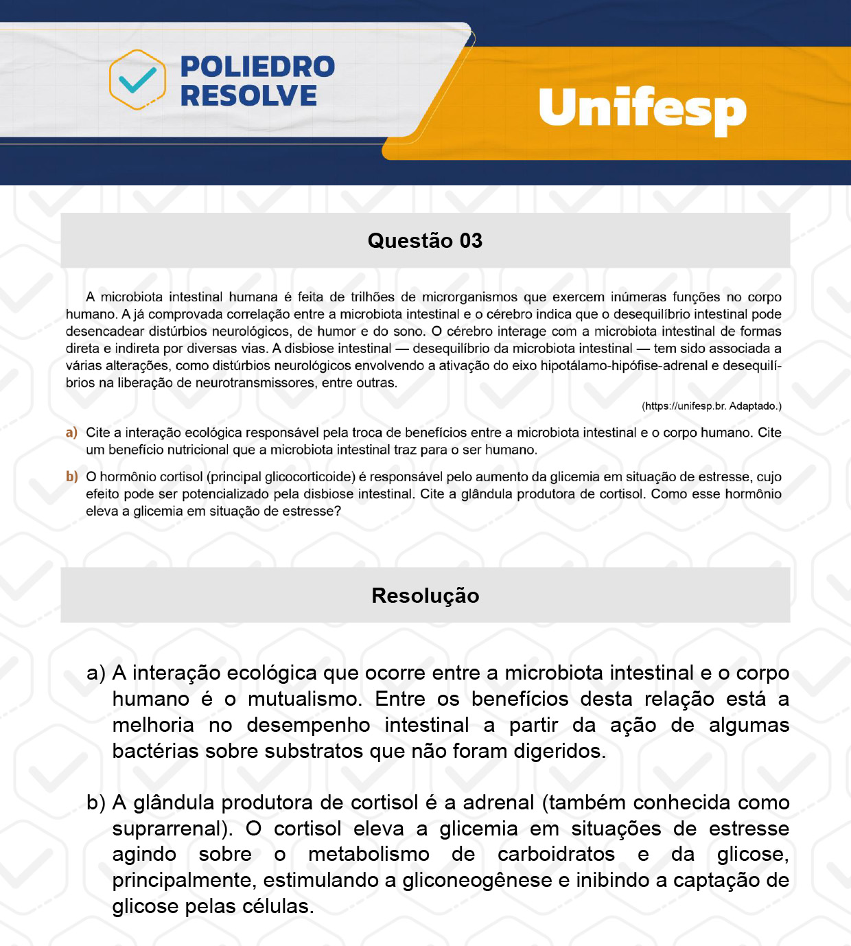 Dissertativa 3 - 2º Dia - Unifesp 2024