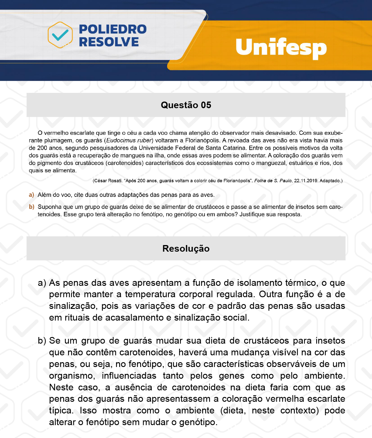 Dissertativa 5 - 2º Dia - Reaplicação - Unifesp 2024