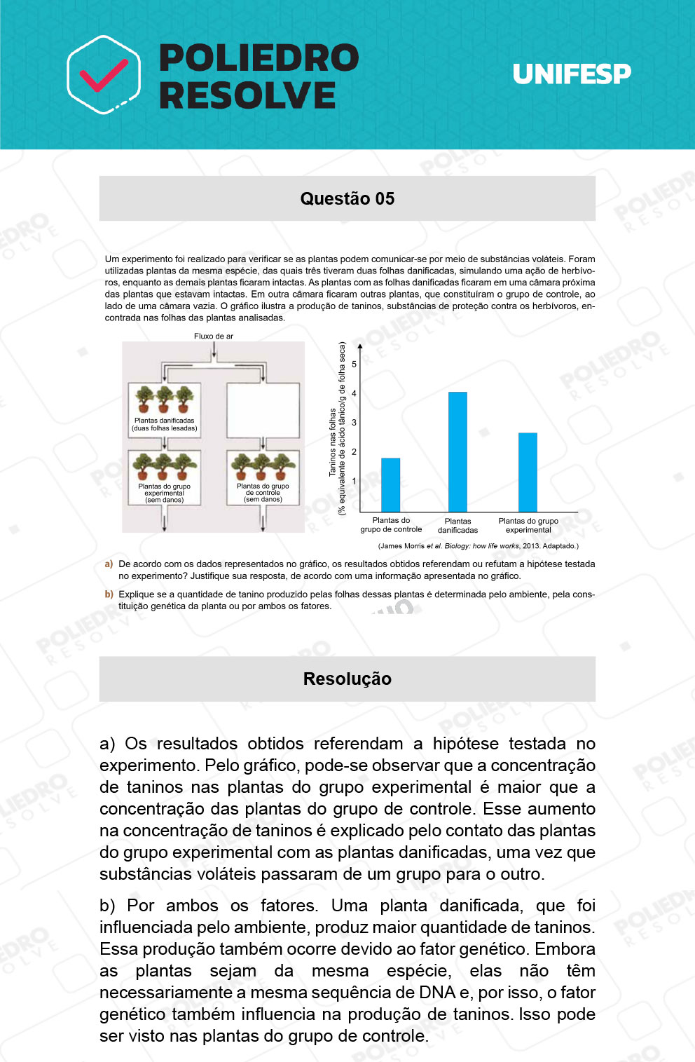Dissertativa 5 - 2º Dia - 21/01/22 - Unifesp 2022