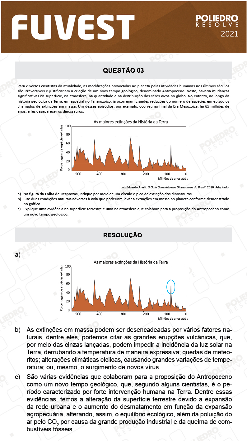 Dissertativa 3 - 2ª Fase - 2º Dia - Fuvest 2021
