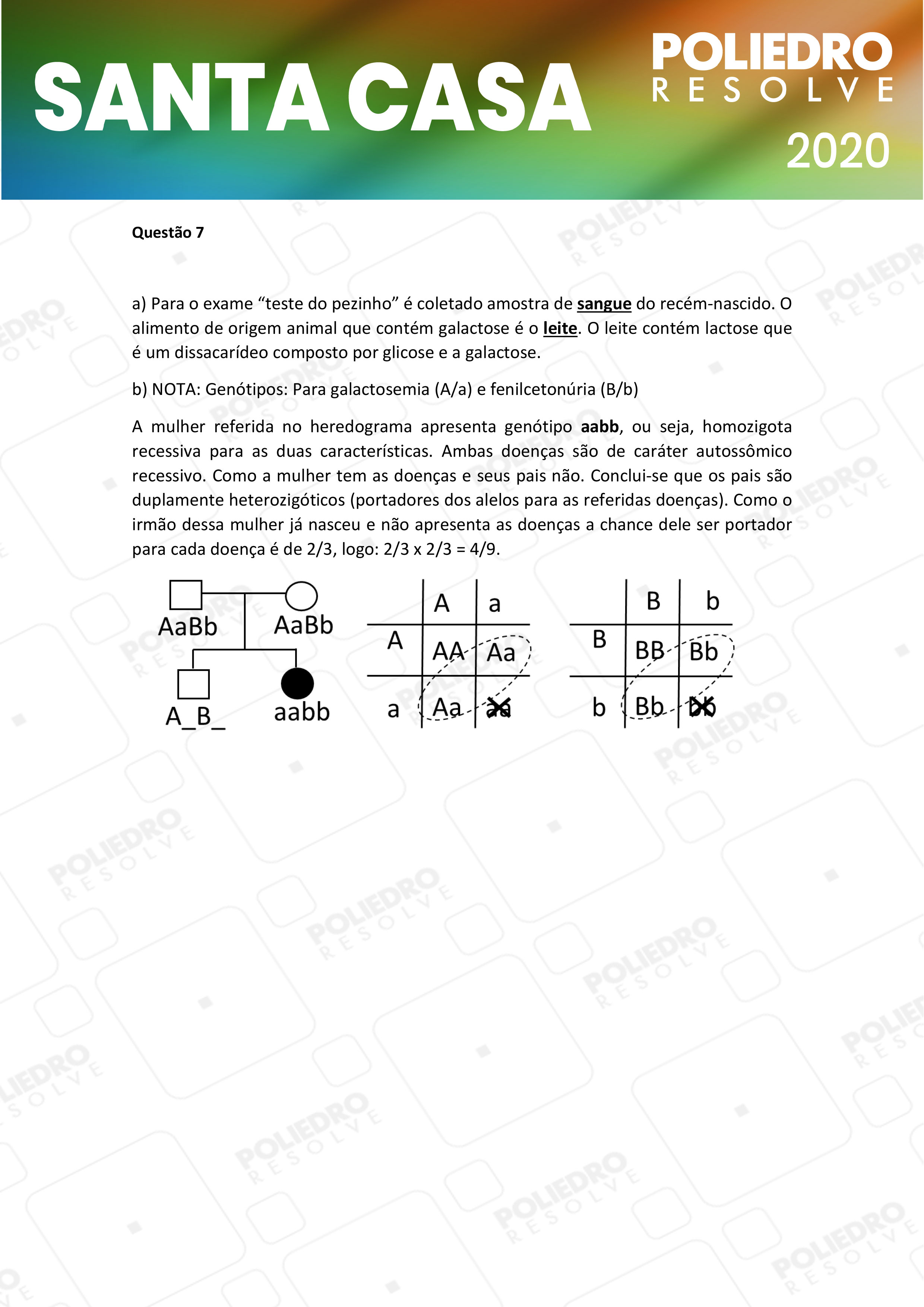 Dissertativa 7 - 1º Dia - Santa Casa 2020