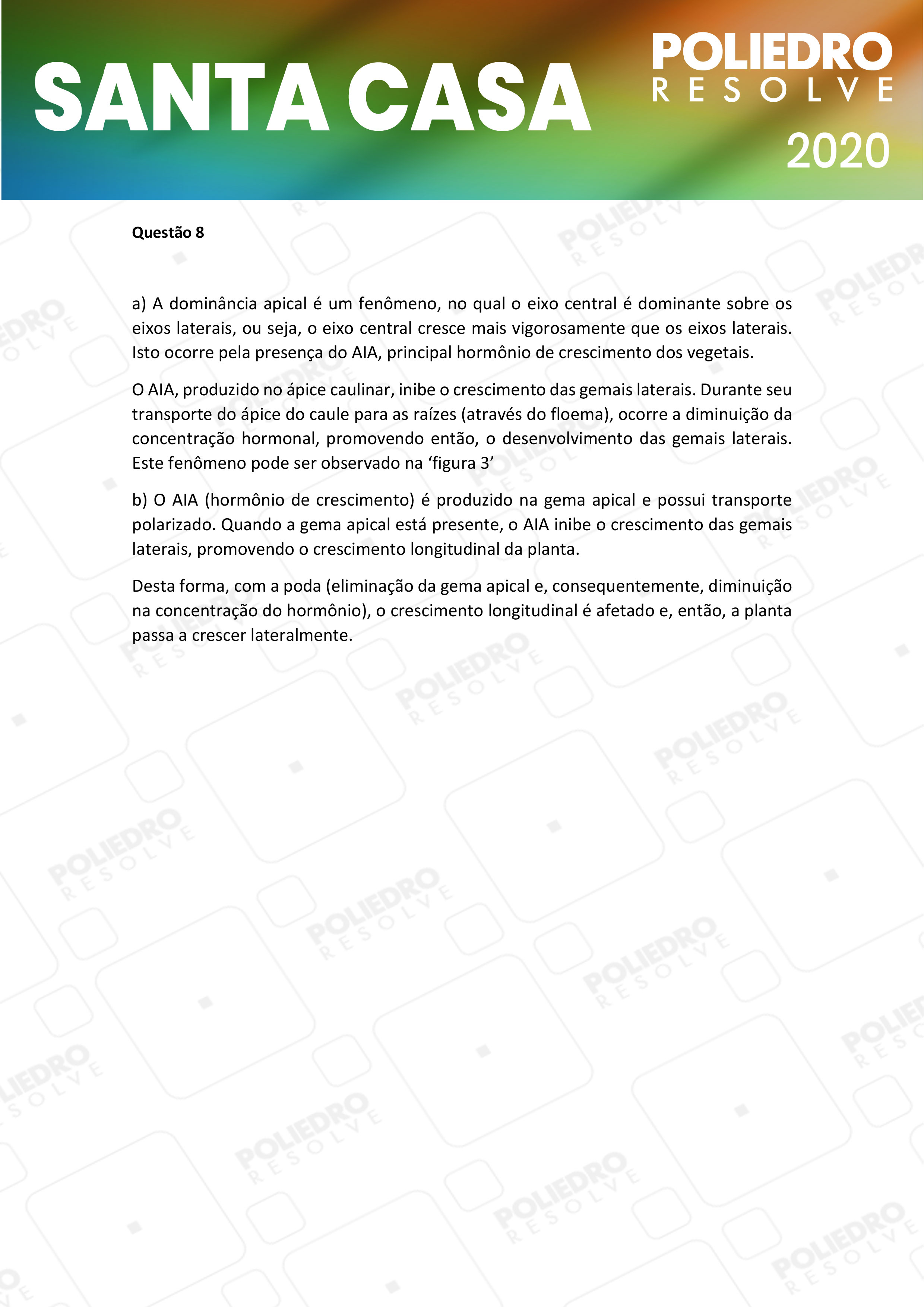 Dissertativa 8 - 1º Dia - Santa Casa 2020
