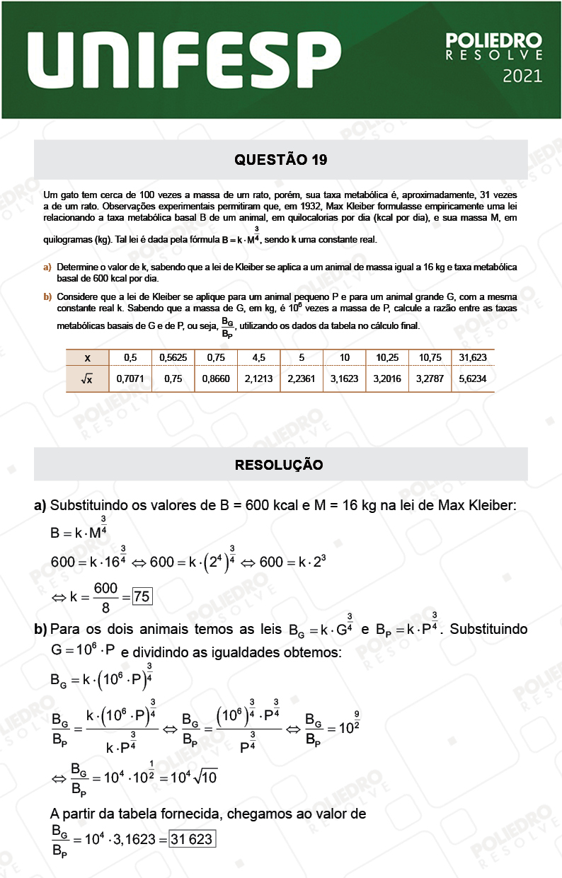 Dissertativa 19 - Fase única - 2º Dia - Unifesp 2021
