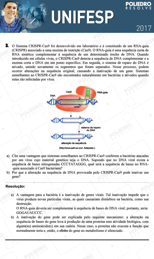 Dissertativa 3 - 2º dia - Unifesp 2017