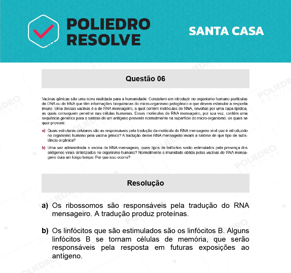 Dissertativa 6 - 2º Dia - Santa Casa 2022