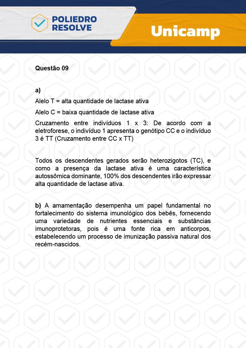 Dissertativa 9 - 2ª Fase - 2º Dia - Unicamp 2024