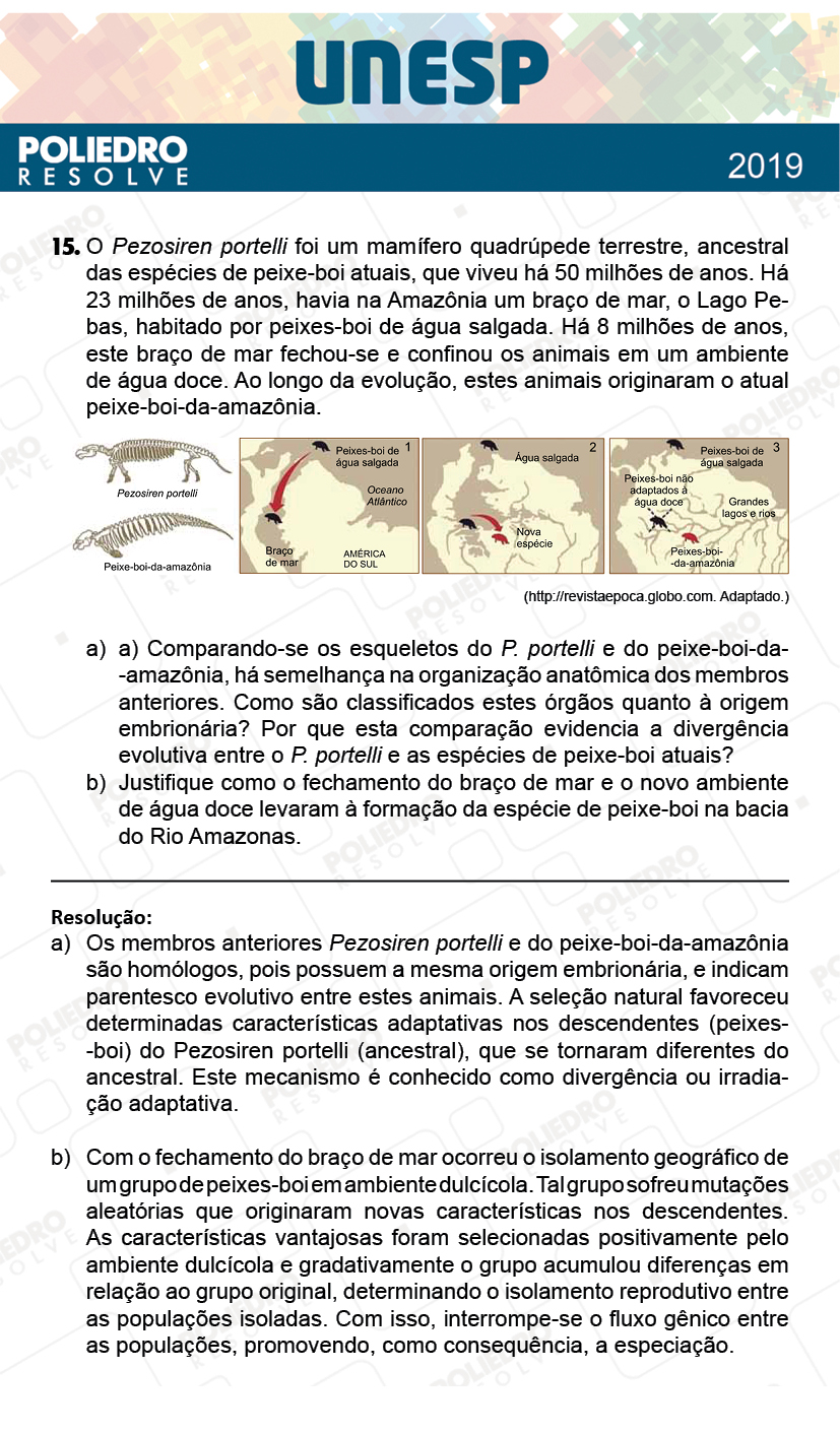 Dissertativa 15 - 2ª Fase - 1º Dia - Unesp 2019