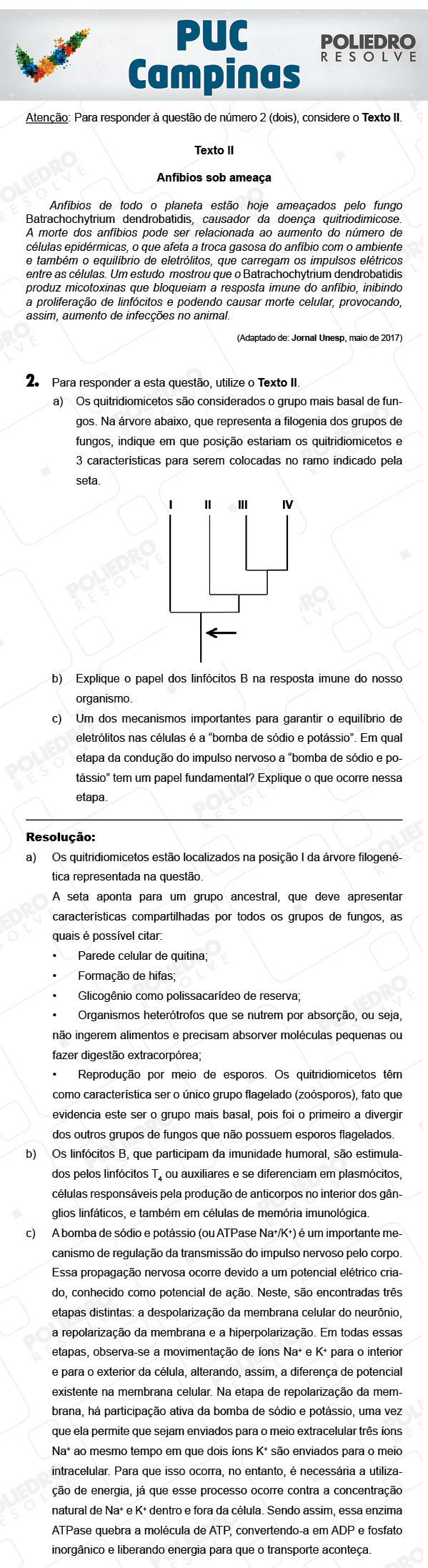 Dissertativa 2 - 2ª Fase - PUC Campinas 2018