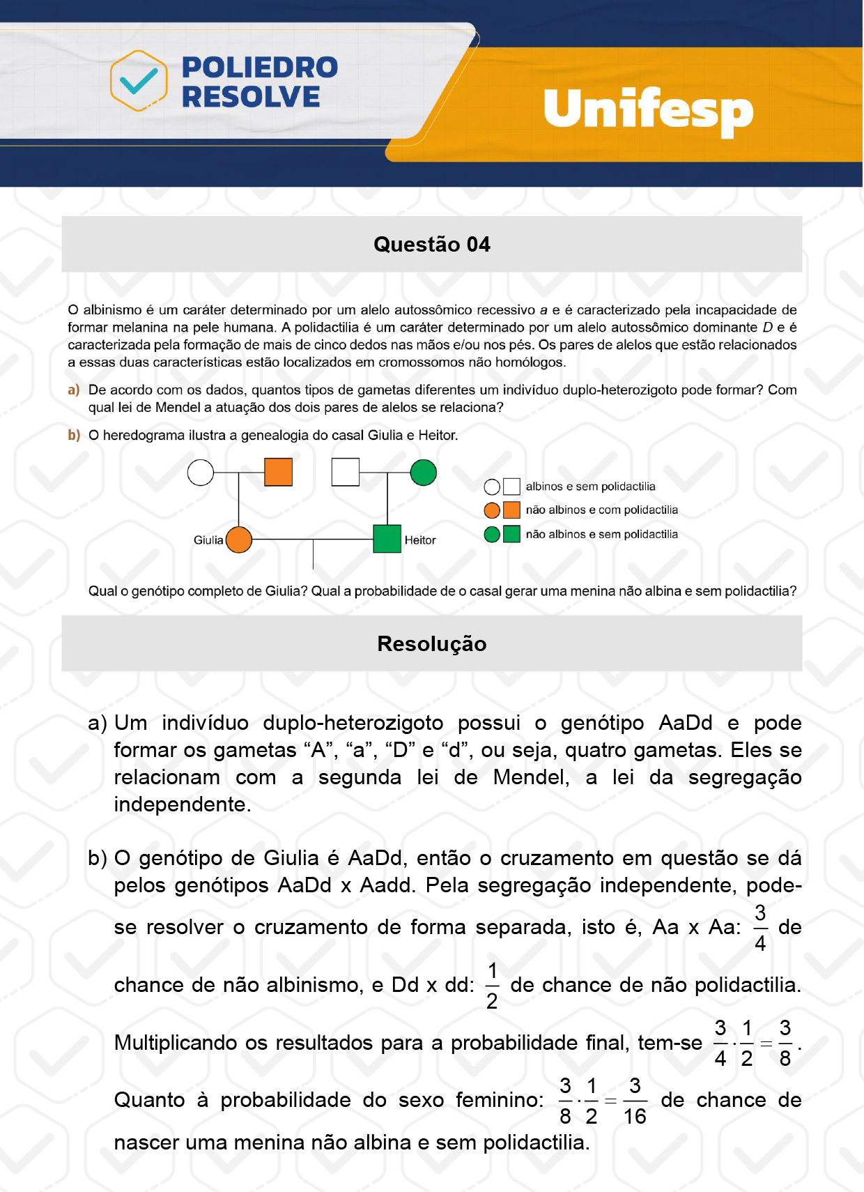Dissertativa 4 - 2º Dia - Reaplicação - Unifesp 2024