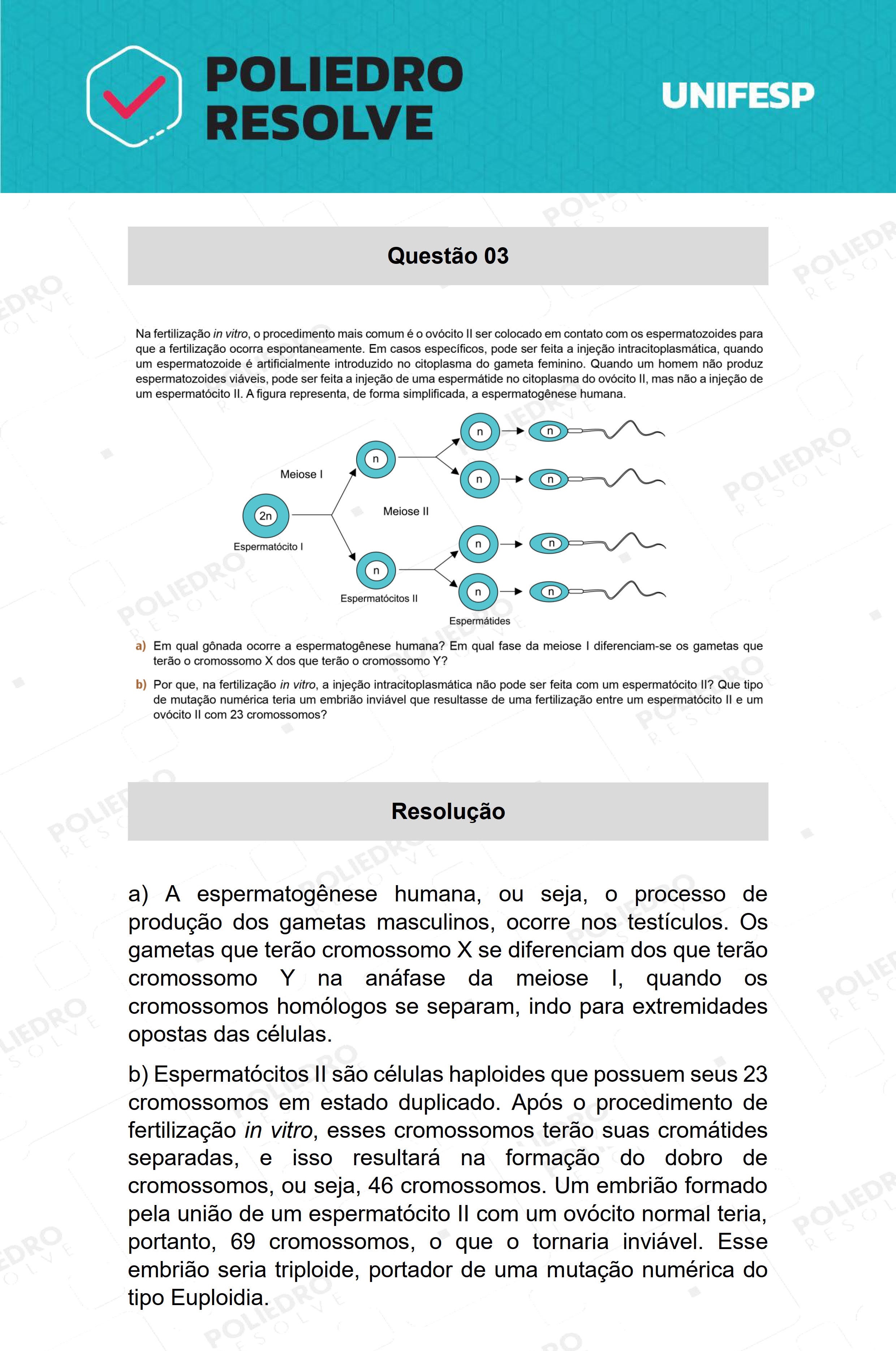 Dissertativa 3 - 2º Dia - 21/01/22 - Unifesp 2022