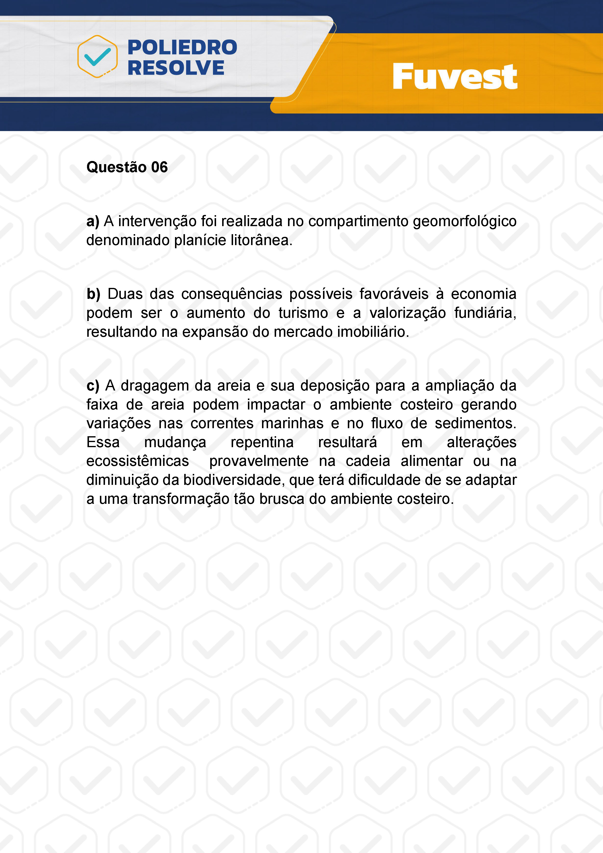 Dissertativa 6 - 2ª Fase - 2º Dia - Fuvest 2024