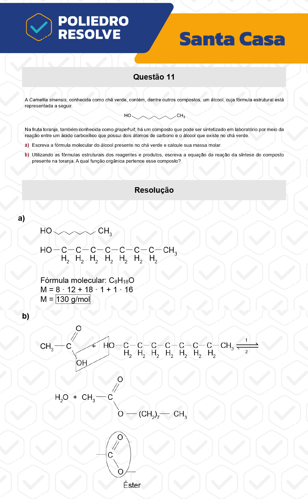Dissertativa 11 - 2º Dia - Santa Casa 2023