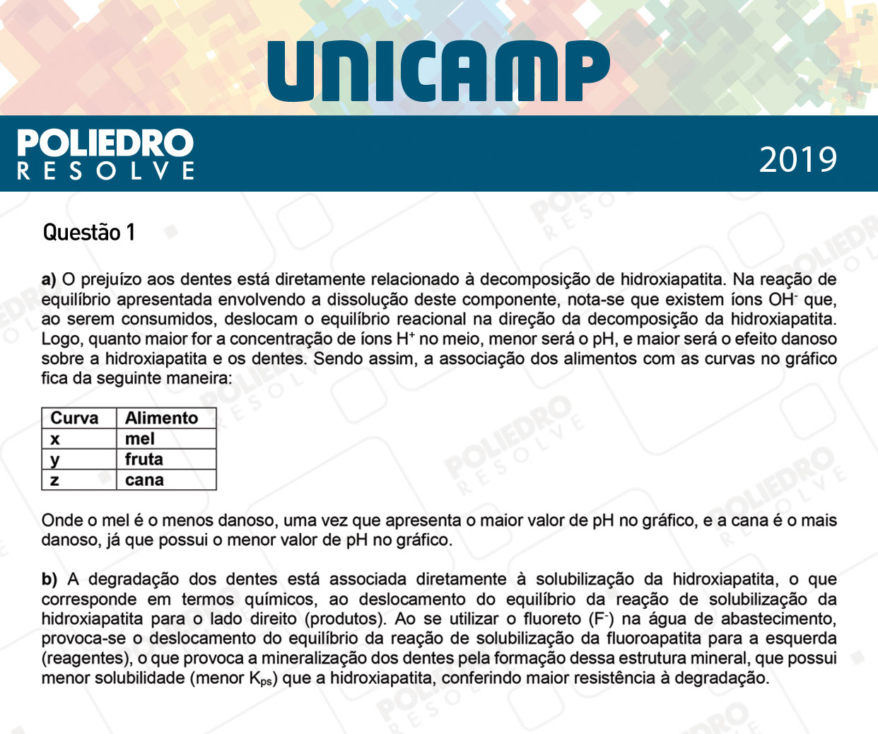 Dissertativa 1 - 2ª Fase - 3º Dia - Unicamp 2019